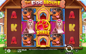 도그하우스 슬롯 재미있고 수익성 높은 카지노 게임